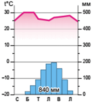 09008t6y-7035-334x363.png