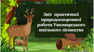 Звіт роботи гуртка "Шкільне лісництво"