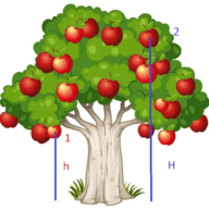 09008tf5-500c-192x193.png