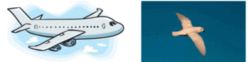 09008tlp-0ed2-350x87.png