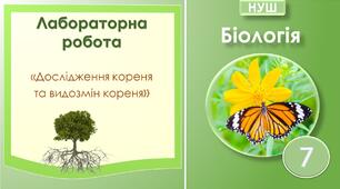 Лабораторна робота "Дослідження кореня та видозмін кореня". Біологія 7 клас НУШ