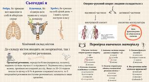 Будова та функції опорно-рухового апарату