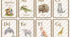 Набір "Animal Alphabet Flashcards"