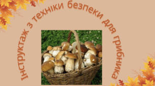 Флешмоб  "День грибника. Інструктаж з техніки безпеки"