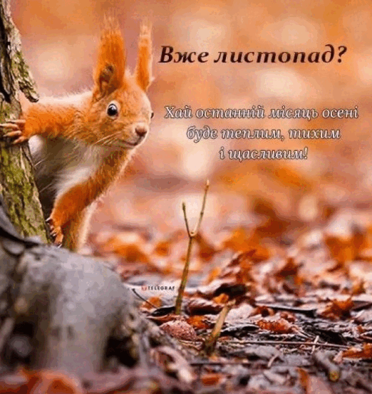 09008vsg-bdd6-522x553.png