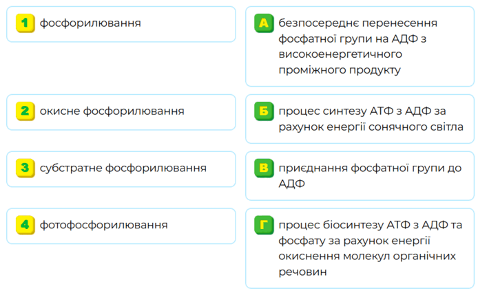 09008wh5-d461-694x429.png