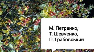 Тема «Поезія ХІХ століття (твори М.Петренка, Т.Шевченка, П.Грабовського)» (ГР4)