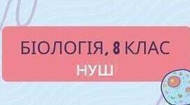 Кровотечі: надання першої допомоги. Серцевосудинні захворювання та їх профілактика. ГР2