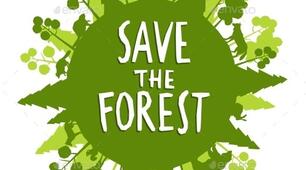  Save the forest!