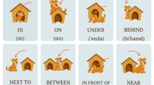 Prepositions of Place: Вчимо з песиком!