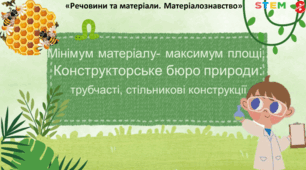 STEM 8 клас. «Мінімум матеріалу — максимум площі. Конструкторське бюро природи: трубчасті, стільникові конструкції»