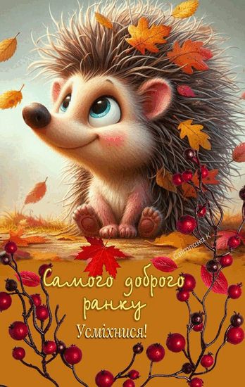 09008z44-25cb-348x550.png