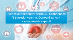 Презентація "Будова ендокринної системи, особливості її функціонування. Основні залози внутрішньої секреції. НУШ".