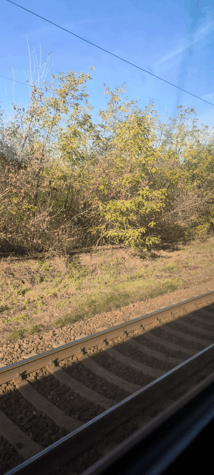 090092oa-a192-722x1601.png