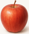 090093qs-8008-105x120.png