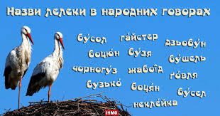 0900978z-38da-381x200.jpg