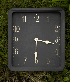 0900985w-c4e8-279x327.png