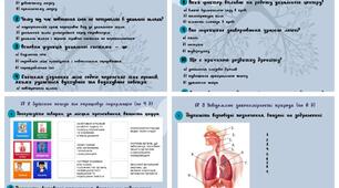 Діагностична контрольна робота 📚👩‍🏫 Тема: «Дихальна система та газообмін» 8 клас (підручник Балан) з відповідями для вчителя. За 3 групами результатів