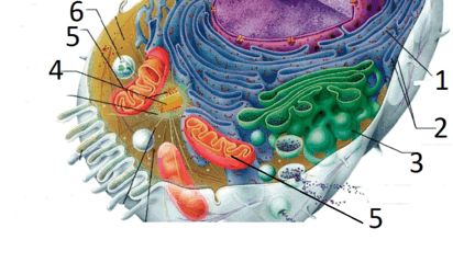 090098gn-c77b-412x250.png