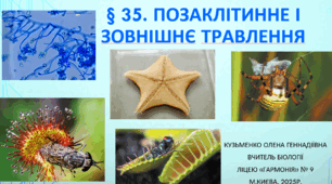 § 35. Позаклітинне і зовнішнє травлення