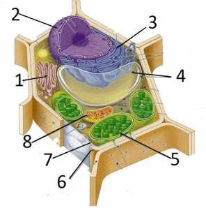 090098mu-f9fb-296x318.png