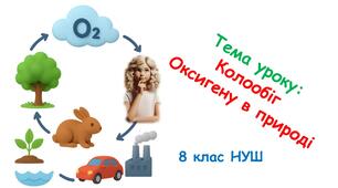 Презентація до уроку з хімії 8 клас НУШ: Колообіг Оксигену в природі