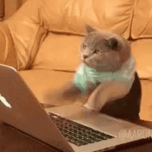 09009b6c-33d3-300x300.gif
