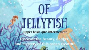 Under the Sea. The Magic of Jellyfish