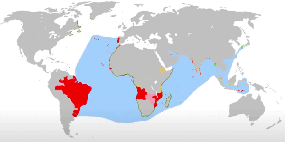 09009c0g-d012-940x468.png