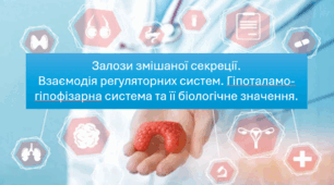 Презентація "Залози змішаної секреції.  Взаємодія регуляторних систем. Гіпоталамо-гіпофізарна система та її біологічне значення. НУШ".