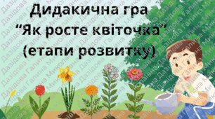 Дидакична гра  “Як росте квіточка” (етапи розвитку)