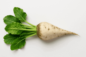 09009l26-d099-282x188.png