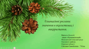 Голонасінні рослини: значення в екосистемах і використання.
