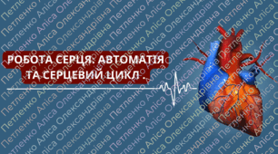 Презентація НУШ 8 клас "Робота серця: автоматія та серцевий цикл"