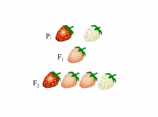 09009p3h-9969-526x391.png