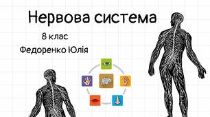 Нервова система