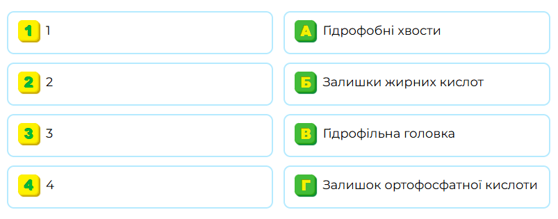 09009qii-6e14-803x315.png