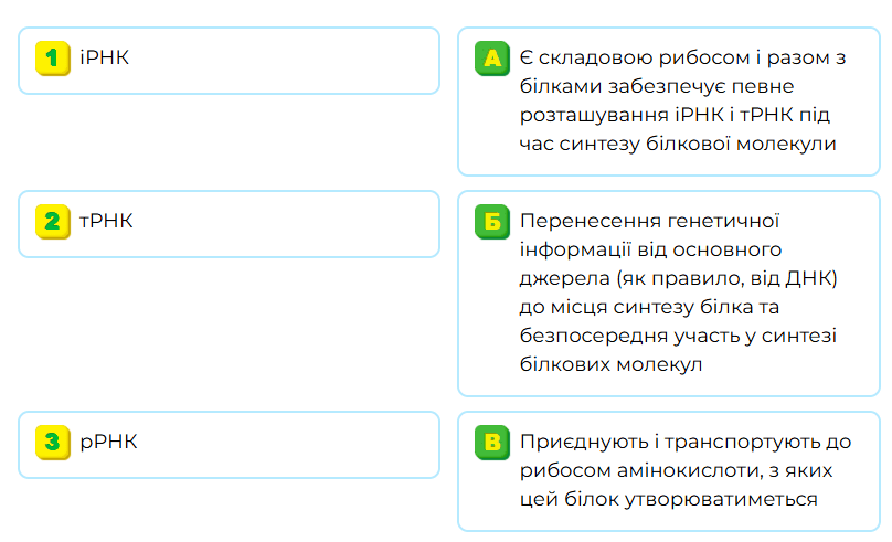 09009ql9-8898-808x491.png