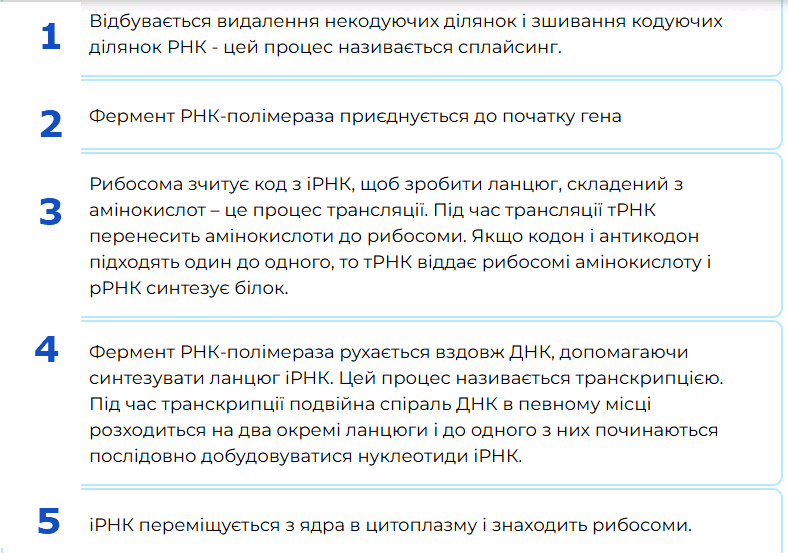 09009qqo-fd6a-788x553.png
