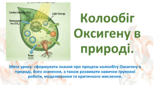 8 клас. НУШ. Презентація до теми: Колообіг Оксигену в природі.