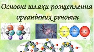 Основні шляхи розщеплення органічних речовин в живих організмів.