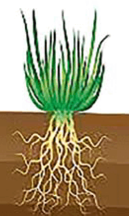 09009uvc-3239-252x422.png