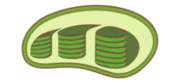 09009v1c-400e-180x82.png