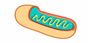 09009v1p-f53f-176x87.png