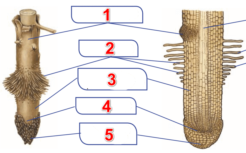 09009w34-6923-940x584.png