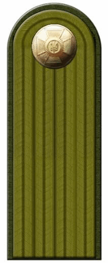 09009y9s-8433-214x521.png