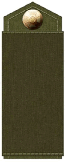 09009ybf-46db-217x540.png
