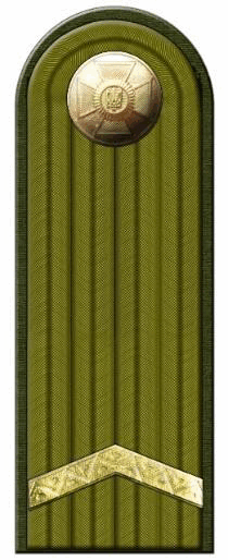 09009yes-38ae-210x514.png