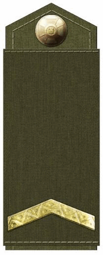 09009yev-b092-209x516.png