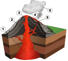 09009yn3-cf02-274x247.png